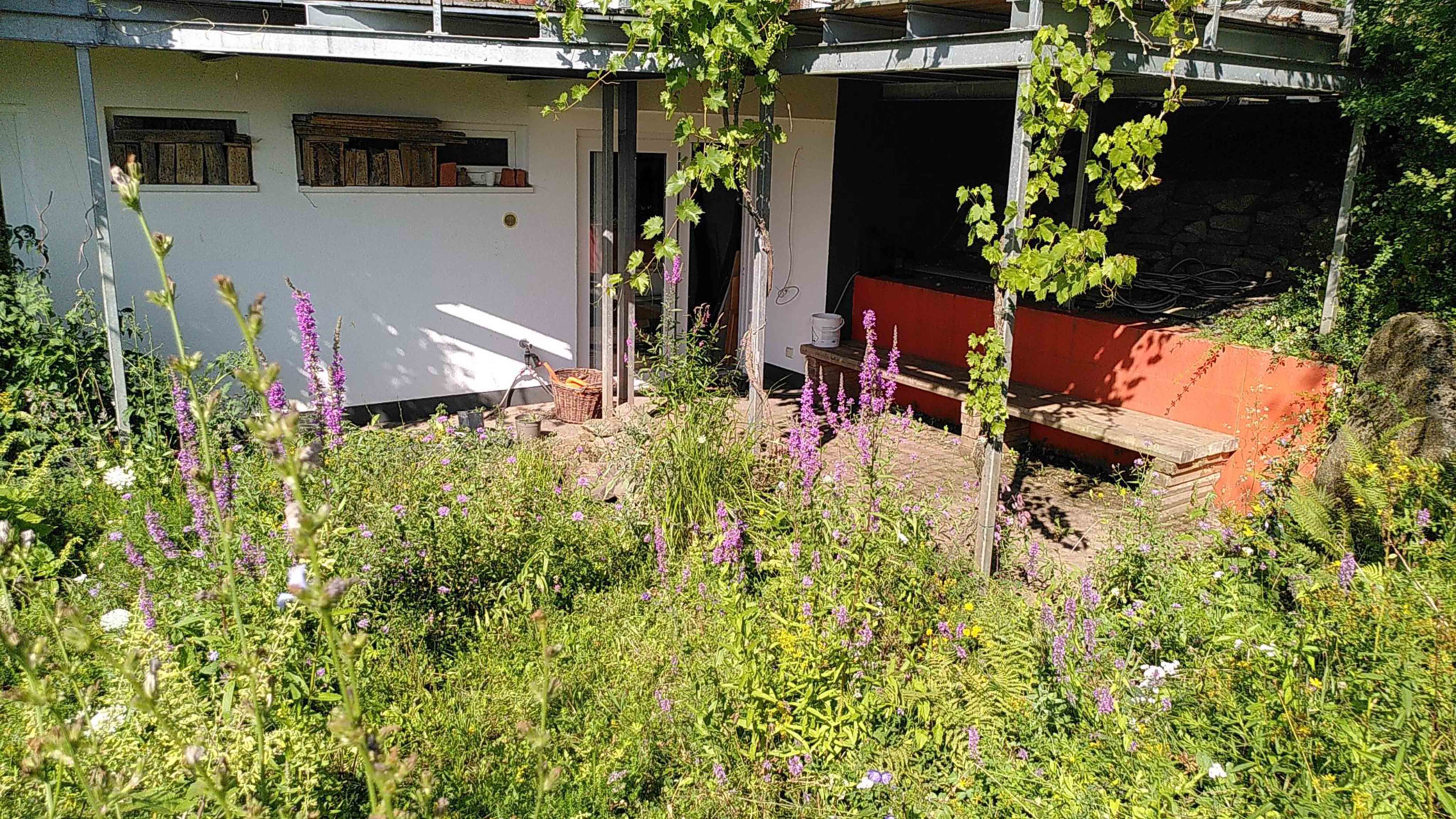 Der Wunschplatz für den neuen Naturteich.